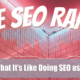 The SEO Rant by Mordy Oberstein